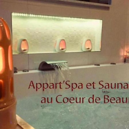 Appart' Spa et Sauna Privatif Au Cœur De Beaune Beaune  Esterno foto