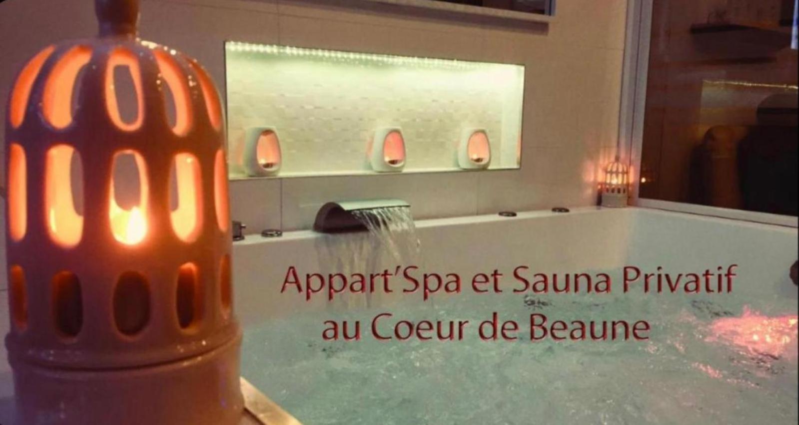 Appart' Spa et Sauna Privatif Au Cœur De Beaune Beaune  Esterno foto