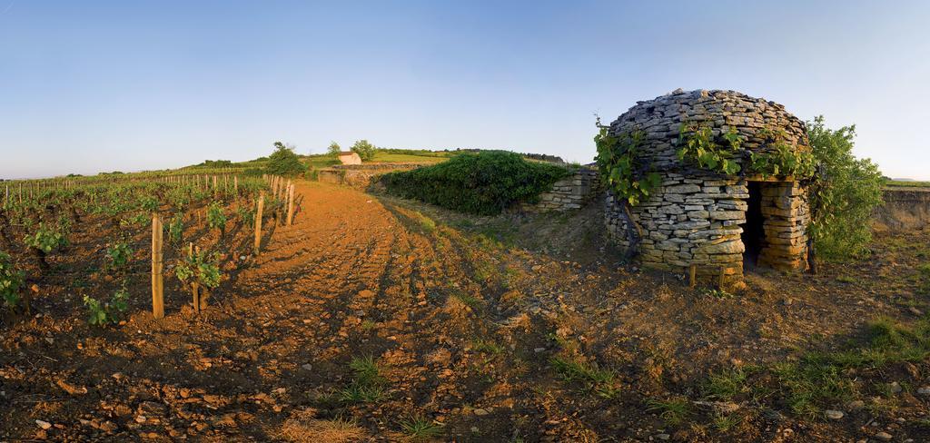 Appart' Spa et Sauna Privatif Au Cœur De Beaune Beaune  Esterno foto